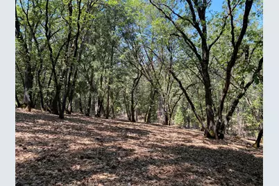 33 Nugget Drive, Foresthill, CA 95631 - Photo 4