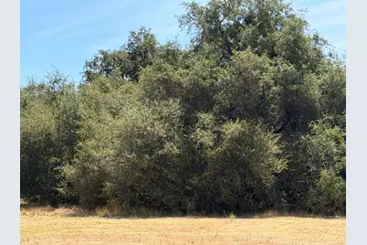 3975 Dawn Drive, Loomis, CA 95650 - Photo 10