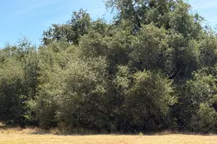 3975 Dawn Dr, Loomis, CA 95650 - Photo 10