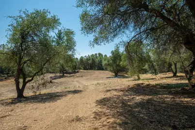 3326 Sand Ridge Road, Placerville, CA 95667 - Photo 1