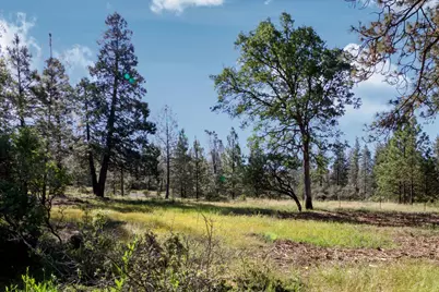 11399 Sadie Lane, Grass Valley, CA 95945 - Photo 28