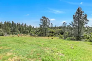 13886 Meadow Valley Rd, Dobbins, CA 95962 - Photo 94