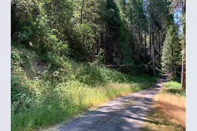 10 Meyers Road, Camino, CA 95709 - Photo 10