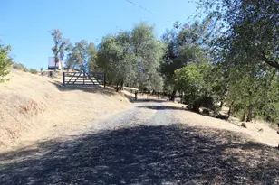 6102 Old Olive, Oroville, CA 95966 - Photo 4