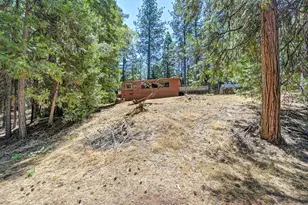 6221 State Hwy 193, Georgetown, CA 95634 - Photo 46