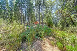 6221 State Hwy 193, Georgetown, CA 95634 - Photo 60