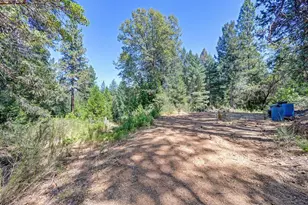 6221 State Hwy 193, Georgetown, CA 95634 - Photo 56