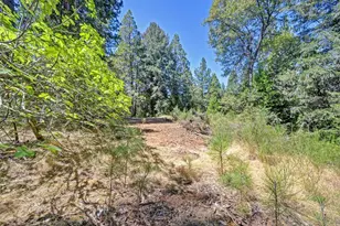 6221 State Hwy 193, Georgetown, CA 95634 - Photo 52