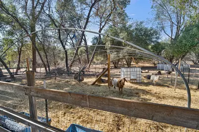 135 Beaver Road, Palermo, CA 95966 - Photo 28
