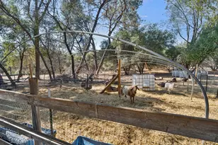 135 Beaver Rd, Palermo, CA 95966 - Photo 28