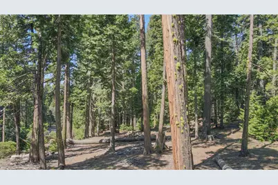 403 Sierra Parkway, Camp Connell, CA 95223 - Photo 2