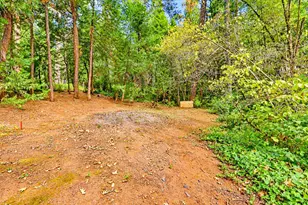 12213 Half Moon Way, Nevada City, CA 95959 - Photo 78