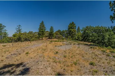 20117 Neilson Road, Pine Grove, CA 95665 - Photo 10