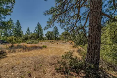 20117 Neilson Road, Pine Grove, CA 95665 - Photo 16