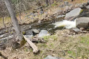 2406 Anglers Ct, Mariposa, CA 95338 - Photo 4