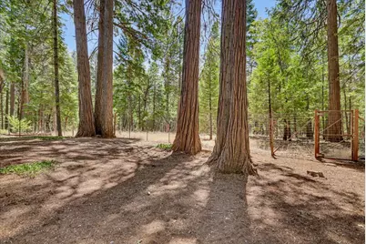 13429 Red Dog Road, Nevada City, CA 95959 - Photo 70