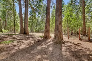 13429 Red Dog Rd, Nevada City, CA 95959 - Photo 70