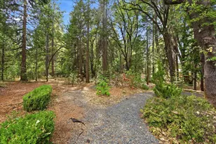 13195 Woodstock Dr, Nevada City, CA 95959 - Photo 66