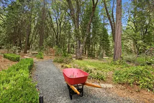 13195 Woodstock Dr, Nevada City, CA 95959 - Photo 72