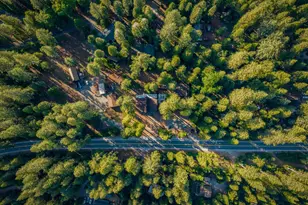 28355 Hwy 88, Pioneer, CA 95666 - Photo 40