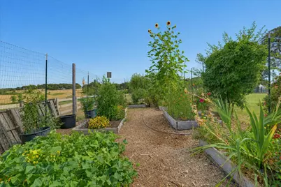 14680 Wolf Road, Grass Valley, CA 95949 - Photo 86