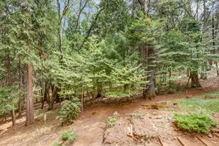 4610 Wandering Way, Camino, CA 95709 - Photo 22