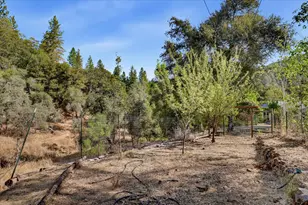 16237 Annie Dr, Grass Valley, CA 95949 - Photo 64