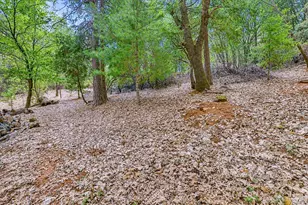 15914 Brooks Rd, Grass Valley, CA 95945 - Photo 72