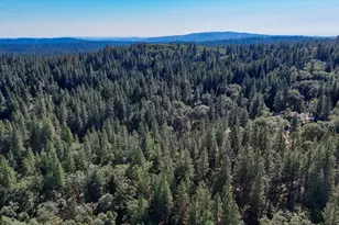 15914 Brooks Rd, Grass Valley, CA 95945 - Photo 50