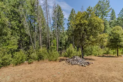 21641 Allan Road, Volcano, CA 95689 - Photo 66