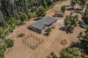 21641 Allan Rd, Volcano, CA 95689 - Photo 1