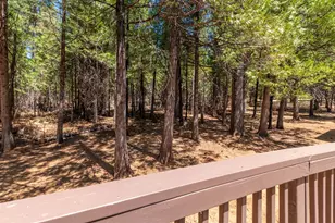 26299 Sugar Pine Dr, Pioneer, CA 95666 - Photo 58