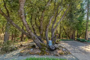 22590 Rocky Ln, Pioneer, CA 95666 - Photo 42