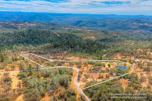 9018 Winding Way, Oregon House, CA 95962 - Photo 62