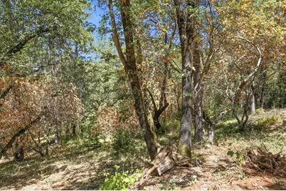 0 Sly Park Road, Placerville, CA 95667 - Photo 16