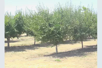 2200 Encinal Road, Live Oak, CA 95953 - Photo 6
