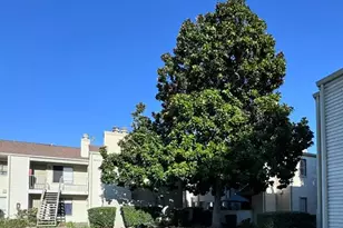 700 McCoy Ct, Lodi, CA 95240 - Photo 12