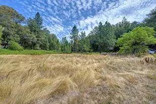 7300 State Hwy 193, Garden Valley, CA 95633 - Photo 8
