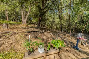 20911 French Gulch Rd, Pine Grove, CA 95665 - Photo 52