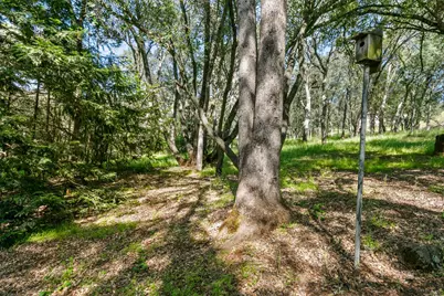 4740 Maggie Lane, Shingle Springs, CA 95682 - Photo 38