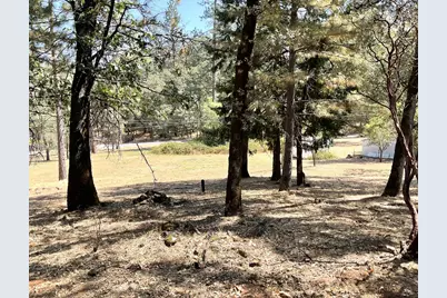 12913 Mystic Mine Road, Nevada City, CA 95959 - Photo 22