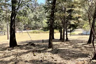 12913 Mystic Mine Rd, Nevada City, CA 95959 - Photo 22