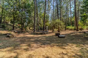 16056 N Cedar Heights Dr, Pioneer, CA 95666 - Photo 20