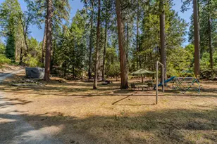 16056 N Cedar Heights Dr, Pioneer, CA 95666 - Photo 4