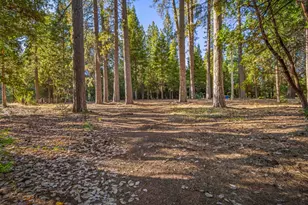 6600 State Hwy 193, Georgetown, CA 95634 - Photo 48
