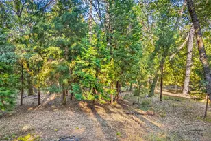 6600 State Hwy 193, Georgetown, CA 95634 - Photo 46