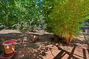 572 Blight Rd, Grass Valley, CA 95945 - Photo 40