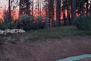 192 Vireo Wy, Arnold, CA 95223 - Photo 52
