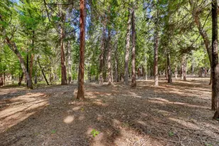 11223 Tower Hill Rd, Nevada City, CA 95959 - Photo 90