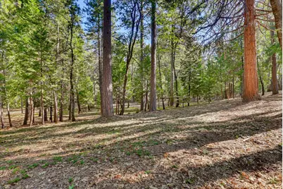 11223 Tower Hill Road, Nevada City, CA 95959 - Photo 82